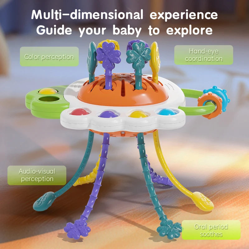 Montessori Baby Sensory Toy