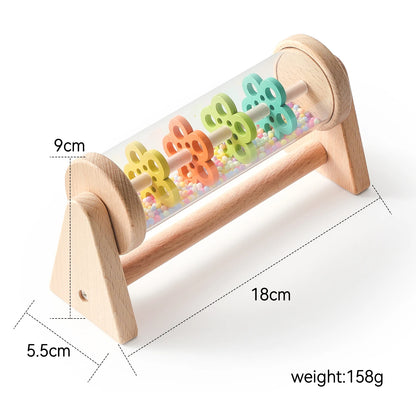 Montessori Rain Stick Baby Toy
