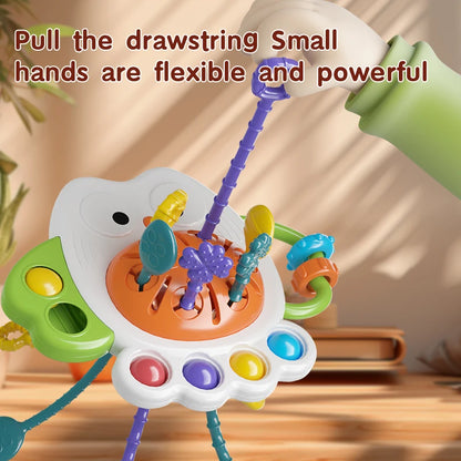 Montessori Baby Sensory Toy
