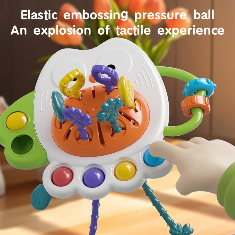 Montessori Baby Sensory Toy