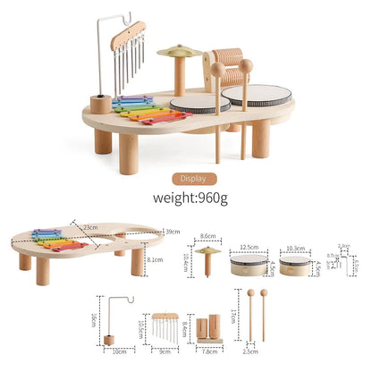 Montessori Rain Stick Baby Toy